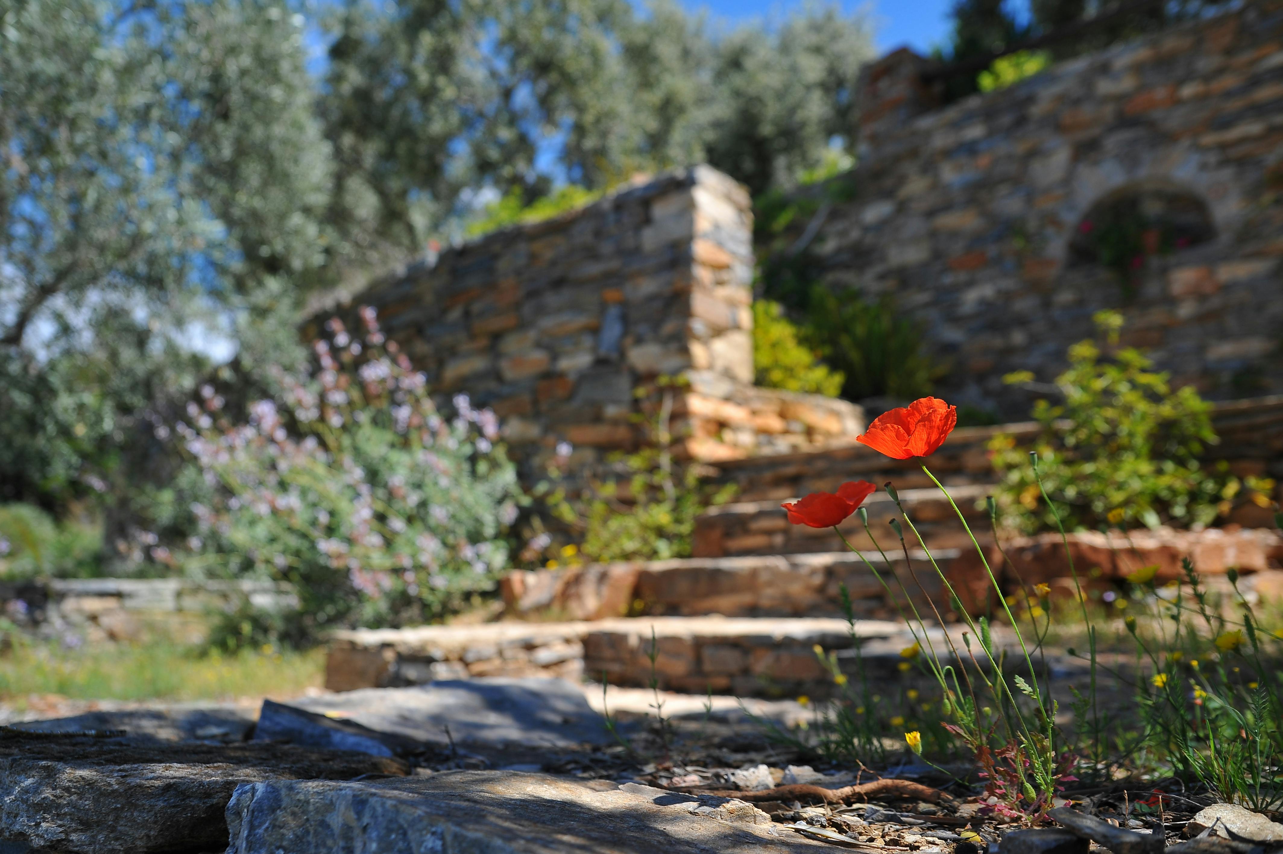 Designing outdoor spaces that harmonize with urban elegance.