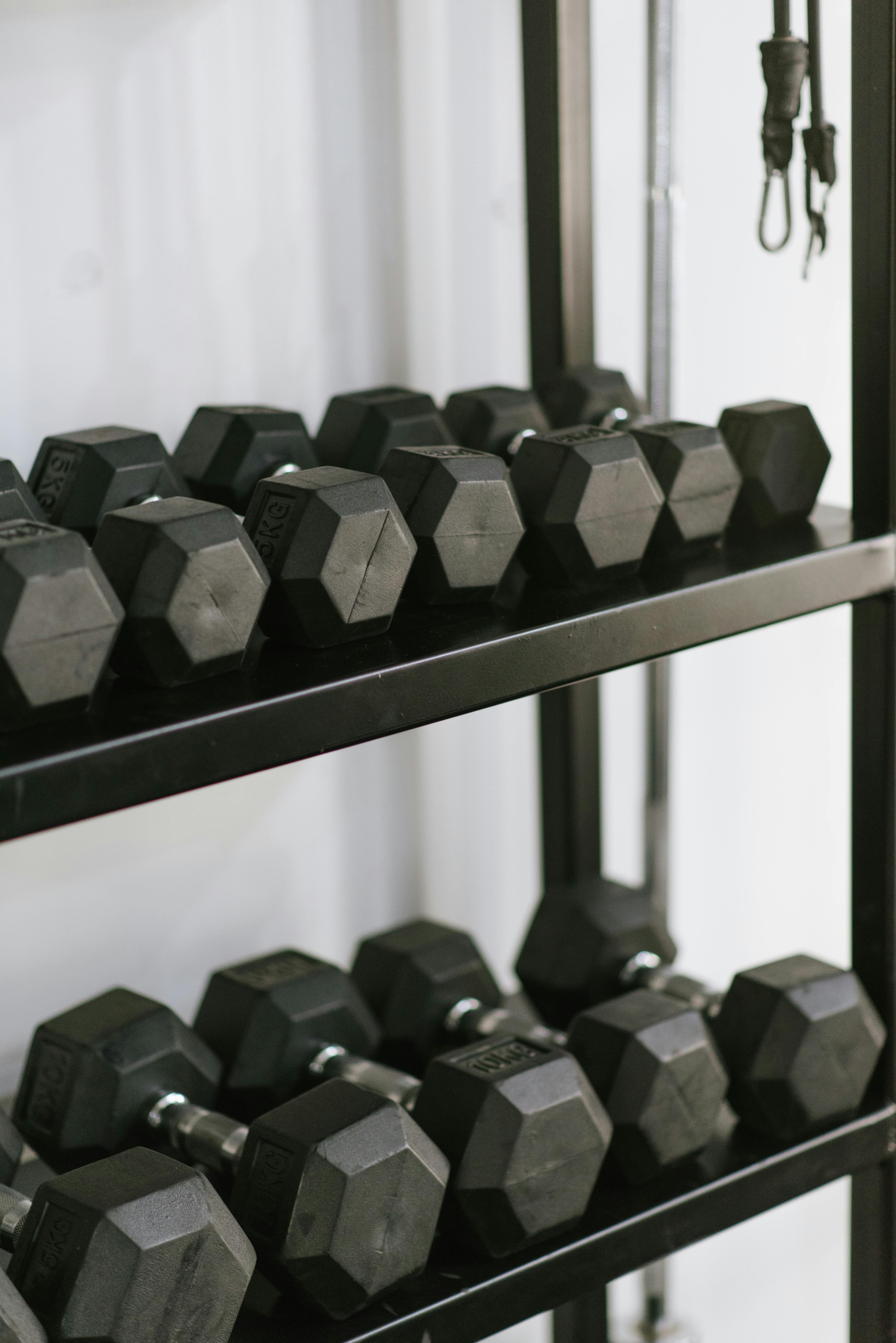 Free Weights Area
